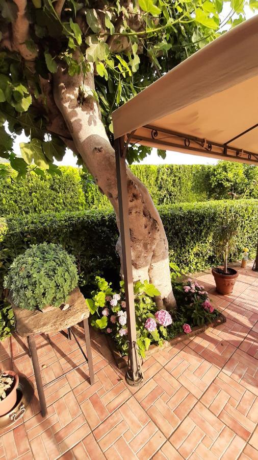 Bed and Breakfast Casale Battaglini Castelnuovo Cilento Экстерьер фото